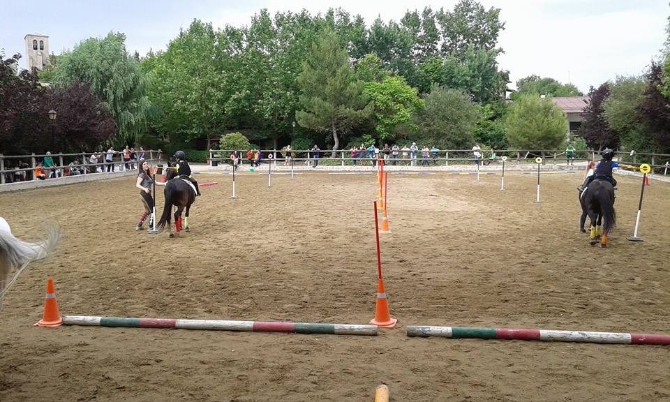 II. Campeonato Navarro Ponigames en Añezcar